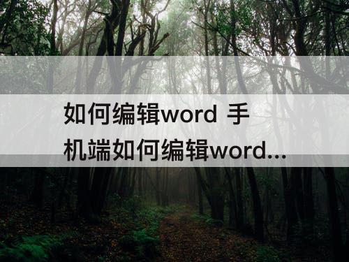 如何编辑word 手机端如何编辑word文档