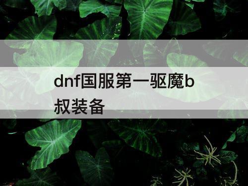 dnf国服第一驱魔b叔装备