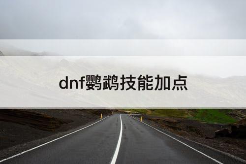 dnf鹦鹉技能加点