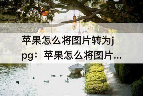 苹果怎么将图片转为jpg：苹果怎么将图片转为jpg文件