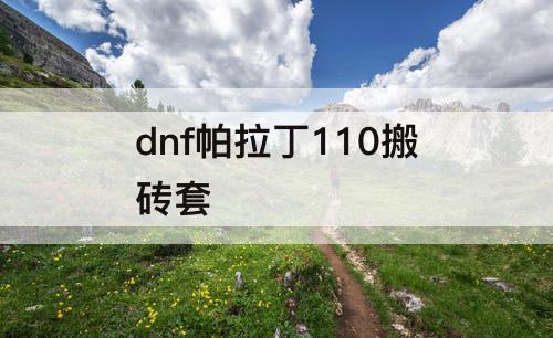 dnf帕拉丁110搬砖套