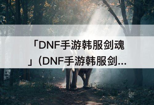 「DNF手游韩服剑魂」(DNF手游韩服剑魂怎么样)