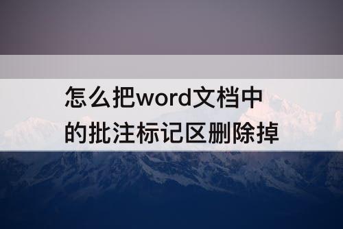 怎么把word文档中的批注标记区删除掉