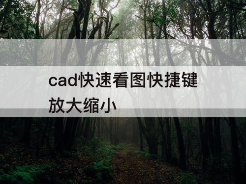cad快速看图快捷键放大缩小