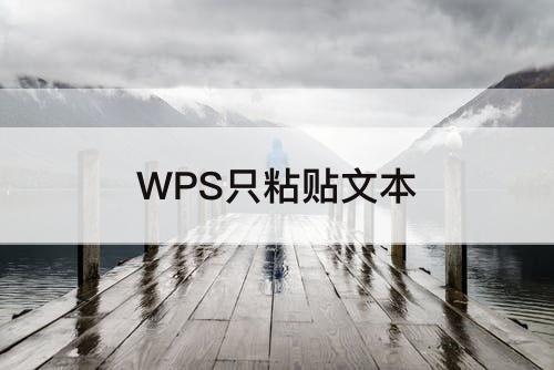 WPS只粘贴文本