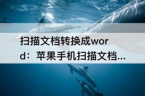 扫描文档转换成word：苹果手机扫描文档转换成word