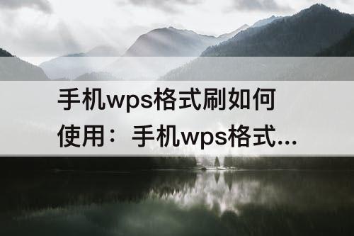 手机wps格式刷如何使用：手机wps格式刷如何使用word