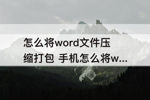 怎么将word文件压缩打包 手机怎么将word文件压缩打包