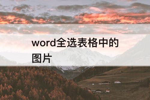 word全选表格中的图片