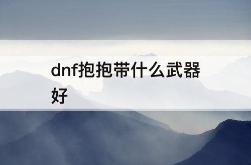 dnf抱抱带什么武器好