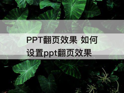 PPT翻页效果 如何设置ppt翻页效果
