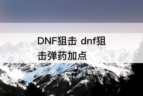 DNF狙击 dnf狙击弹药加点