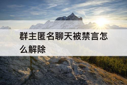 群主匿名聊天被禁言怎么解除