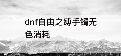 dnf自由之缚手镯无色消耗