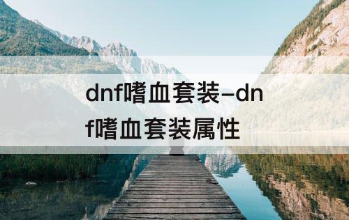 dnf嗜血套装-dnf嗜血套装属性