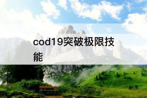 cod19突破极限技能