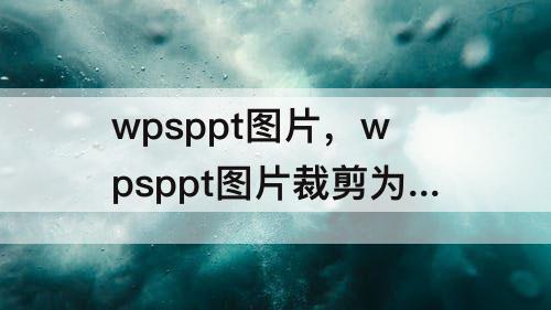 wpsppt图片，wpsppt图片裁剪为任意形状