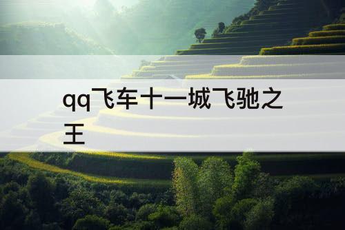 qq飞车十一城飞驰之王