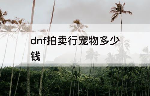 dnf拍卖行宠物多少钱