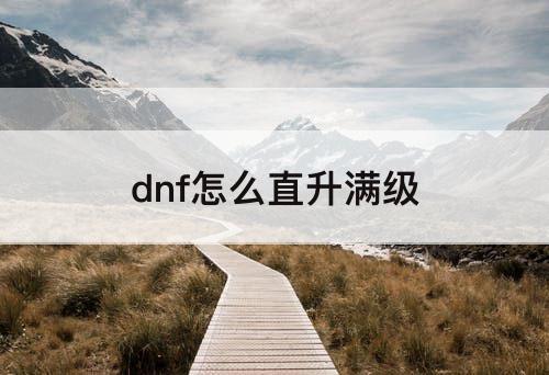 dnf怎么直升满级