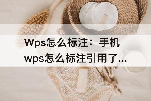 Wps怎么标注：手机wps怎么标注引用了文献
