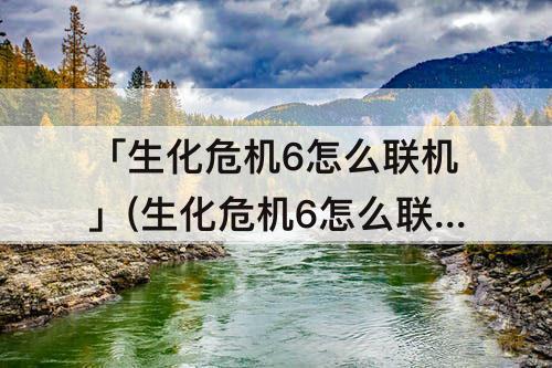 「生化危机6怎么联机」(生化危机6怎么联机选人)