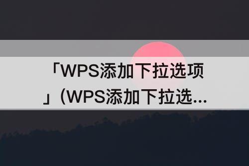 「WPS添加下拉选项」(WPS添加下拉选项内容)
