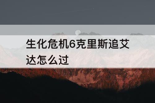 生化危机6克里斯追艾达怎么过