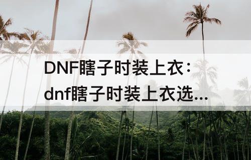 DNF瞎子时装上衣：dnf瞎子时装上衣选什么技能2021