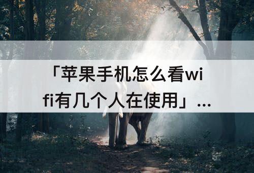 「苹果手机怎么看wifi有几个人在使用」(苹果手机怎么看wifi有几个人在使用怎么剔除)
