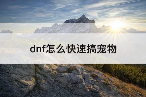 dnf怎么快速搞宠物