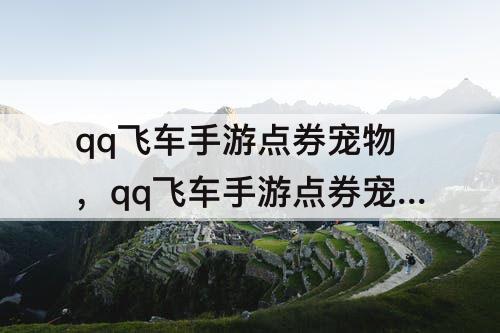 qq飞车手游点券宠物，qq飞车手游点券宠物蛋多少可以开出来