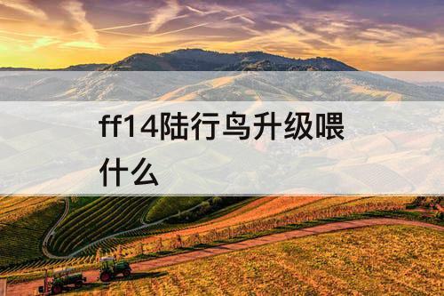 ff14陆行鸟升级喂什么