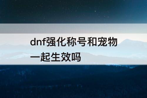 dnf强化称号和宠物一起生效吗