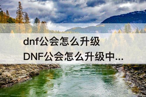 dnf公会怎么升级 DNF公会怎么升级中级