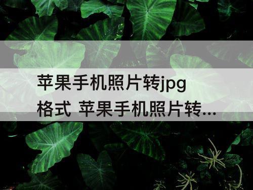 苹果手机照片转jpg格式 苹果手机照片转jpg格式怎么弄