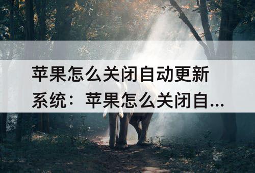 苹果怎么关闭自动更新系统：苹果怎么关闭自动更新系统功能