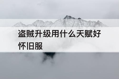 盗贼升级用什么天赋好怀旧服