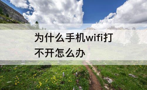 为什么手机wifi打不开怎么办