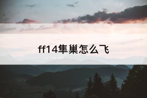 ff14隼巢怎么飞