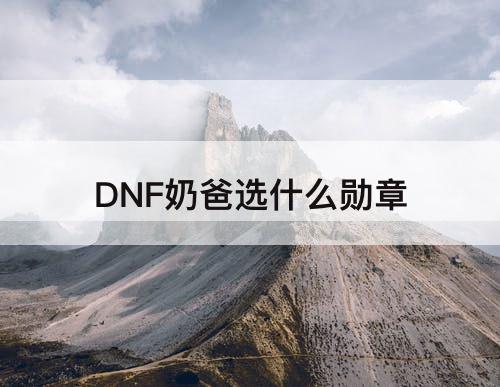 DNF奶爸选什么勋章
