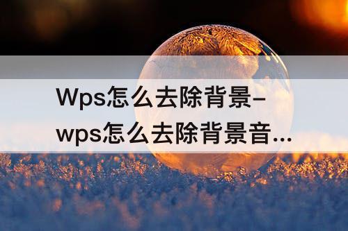 Wps怎么去除背景-wps怎么去除背景音乐