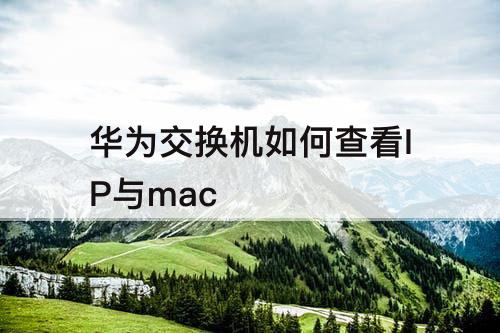 华为交换机如何查看IP与mac