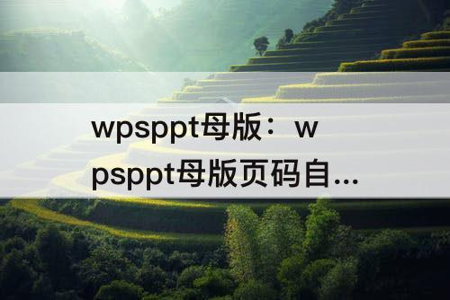 wpsppt母版：wpsppt母版页码自动更新总页数