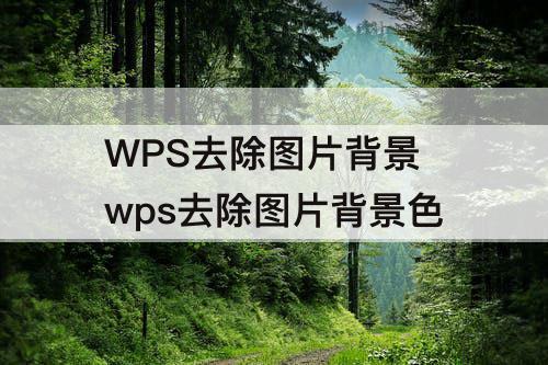 WPS去除图片背景 wps去除图片背景色