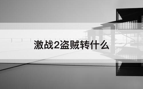 激战2盗贼转什么