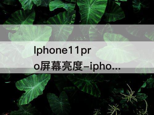 Iphone11pro屏幕亮度-iphone11pro屏幕亮度多少尼特