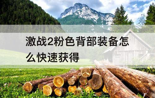 激战2粉色背部装备怎么快速获得