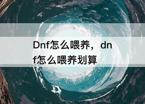 Dnf怎么喂养，dnf怎么喂养划算