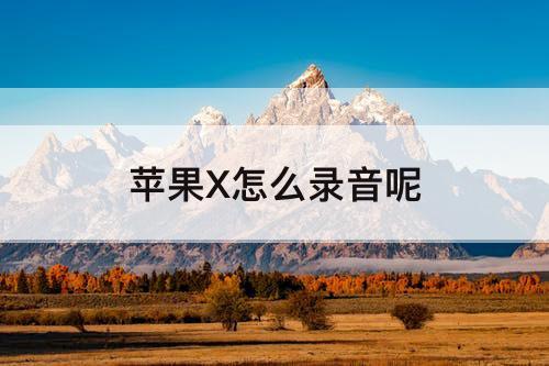 苹果X怎么录音呢